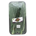 Kale Veggies Gourmet Bandeja 150Gr