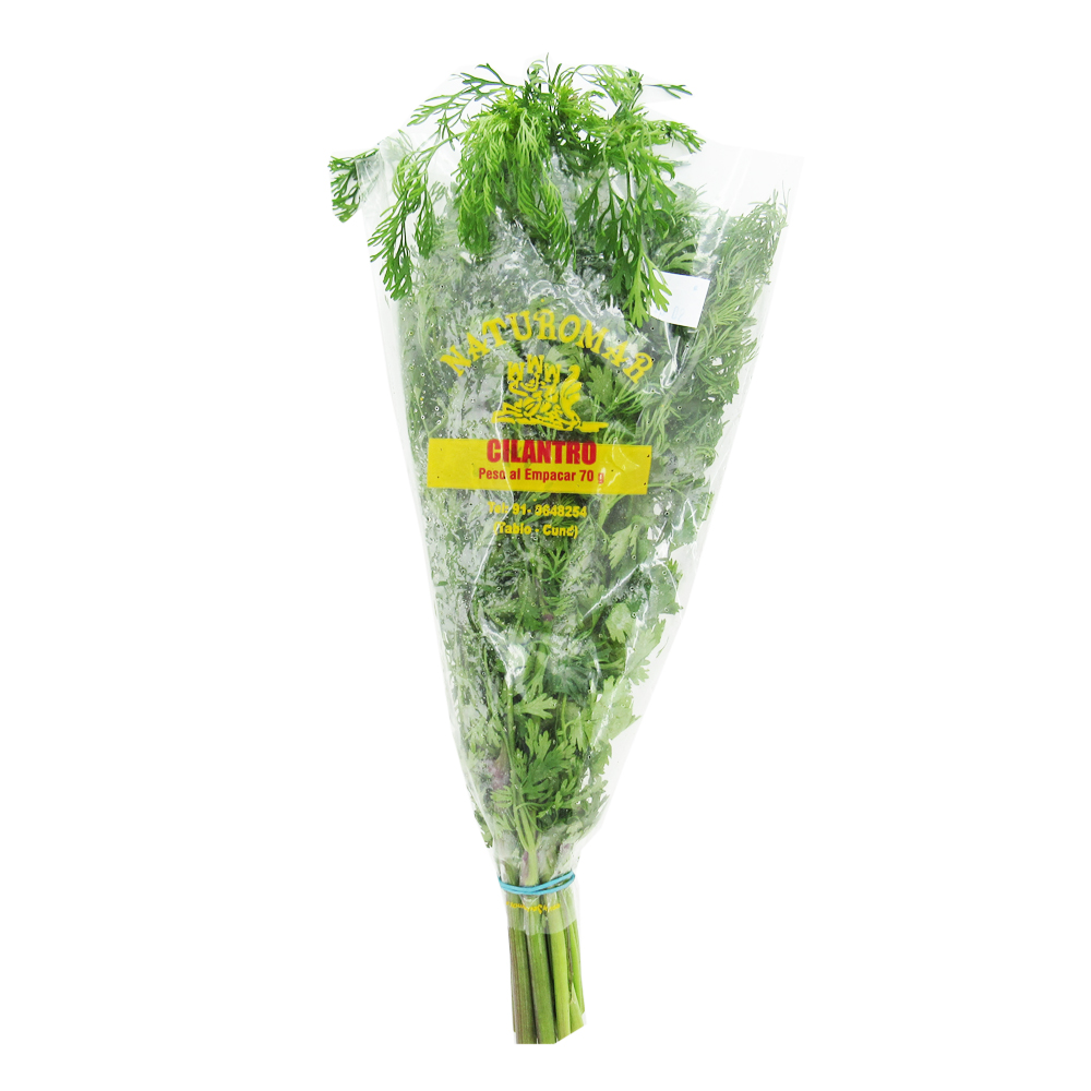 Aromatica Fresca Cilantro 70Gr