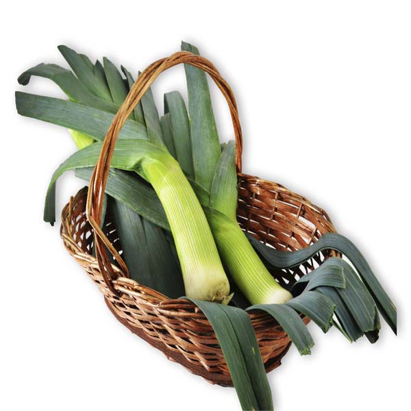 Cebolla Puerro (1 Manojo - 405 Gr Aprox)