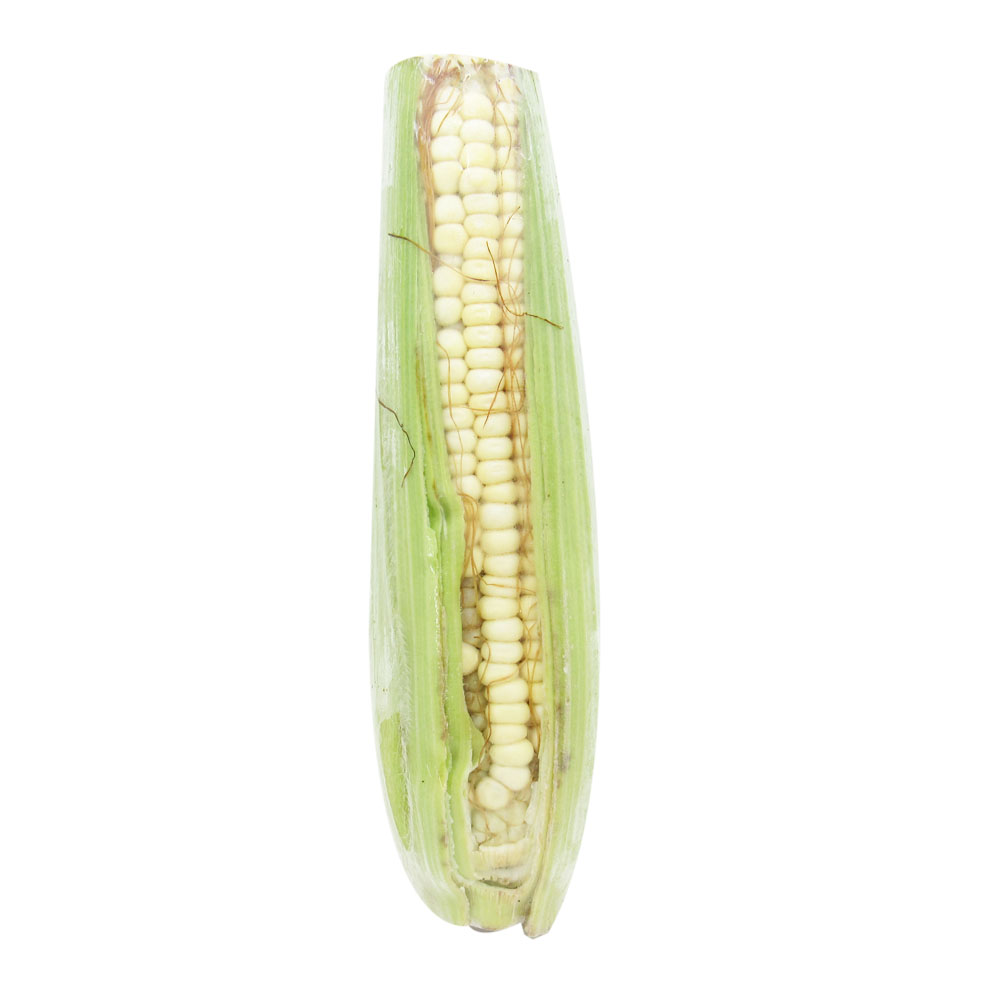 Chócolo Mazorca (1 Unidad - 560 Gr Aprox)