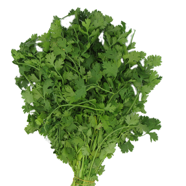 Cilantro (1 Manojo - 150 Gr Aprox)