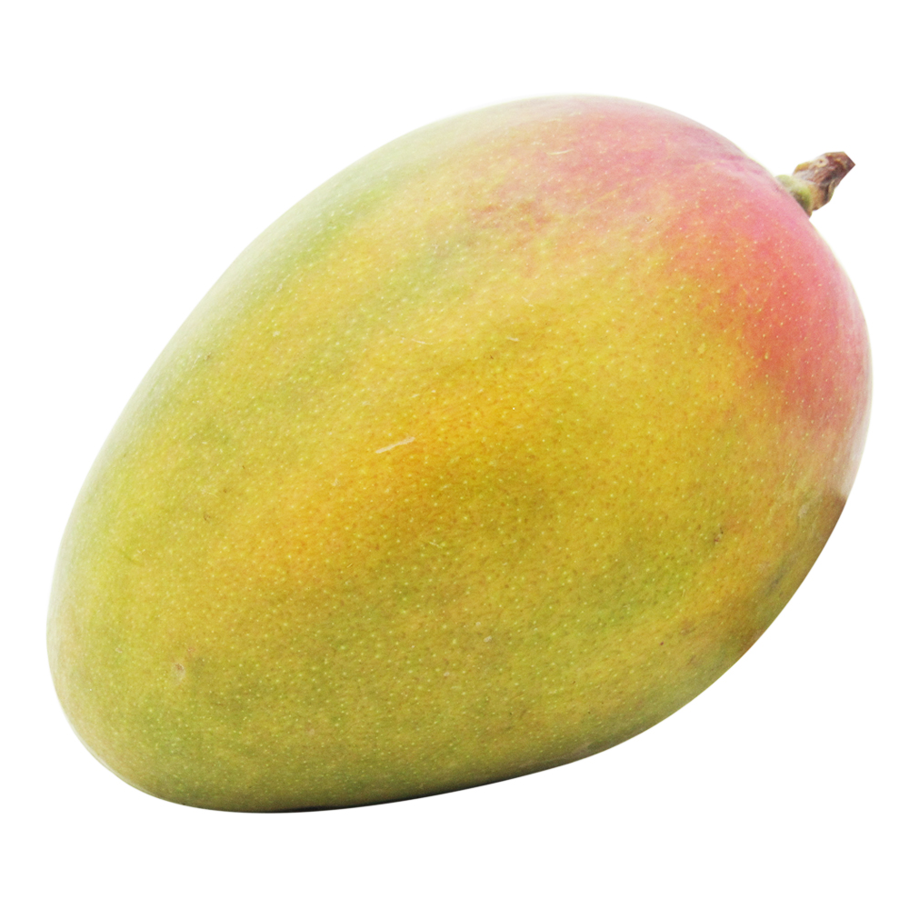 Mango Tommy (1 Unidad - 613 Gr Aprox)