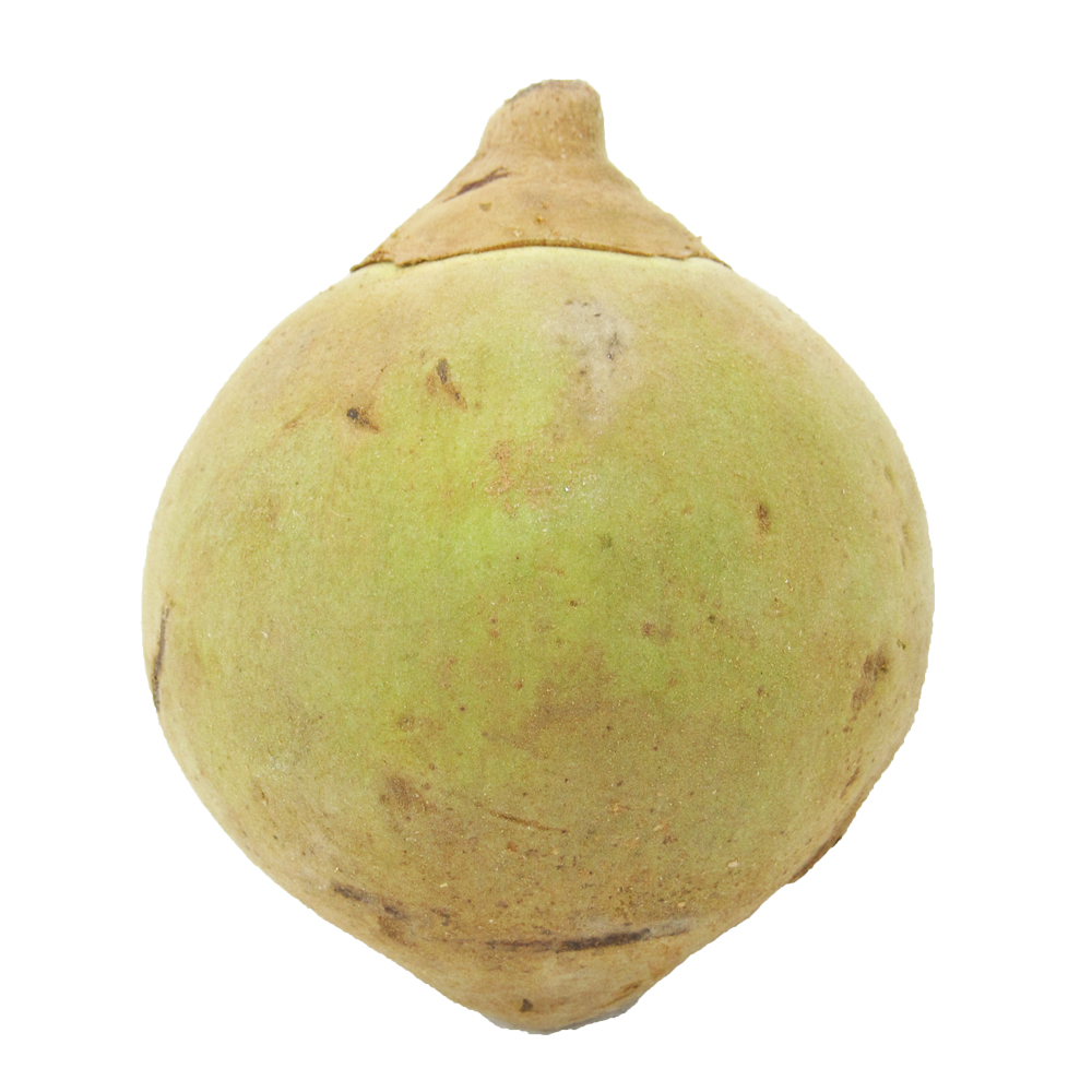 Zapote (1 Unidad - 368 Gr Aprox)