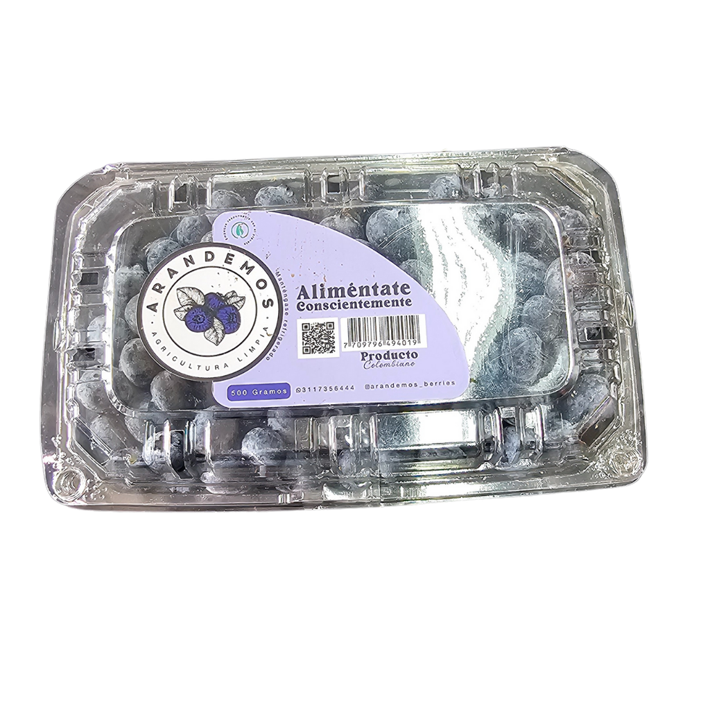 Arándanos Fresco Prémium 500Gr