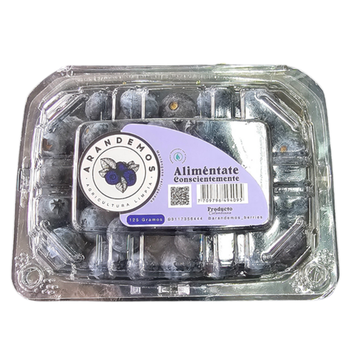 [045346] Arándanos Natural 125Gr