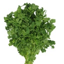 Cilantro (1 Manojo - 275 Gr Aprox)