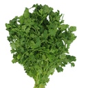 Cilantro (1 Manojo - 188 Gr Aprox)