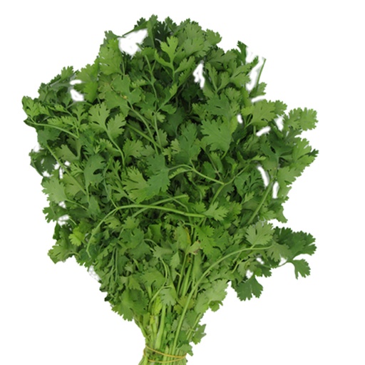 [007427] Cilantro (1 Manojo - 168 Gr Aprox)
