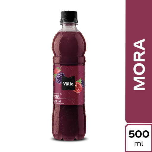 [051923] Del Valle Frutal Mora Pet 500Ml