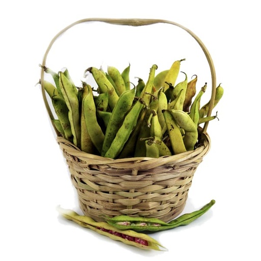 [007465] Fríjol Verde Vaina (1 Libra - 500 Gr)