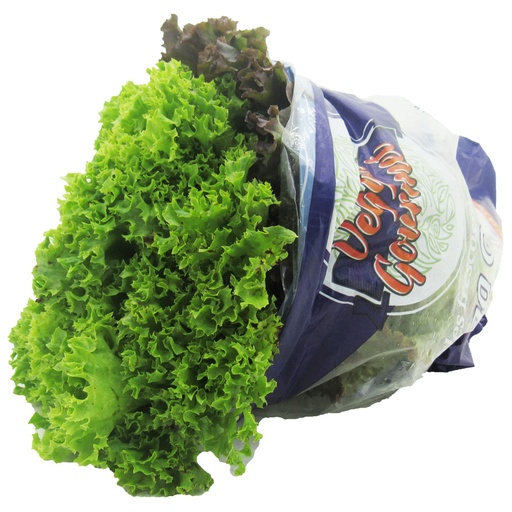[051366] Lechuga Crespa Mixta 200Gr