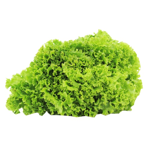 [013892] Lechuga Crespa Veggies Bolsa