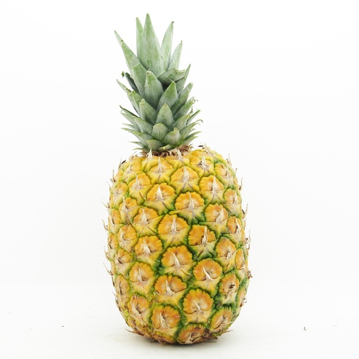[007521] Piña Oro Miel (1 Unidad - 2950 Gr Aprox)