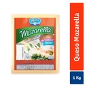 Queso Mozzarella Alpina Bloque 1000Gr