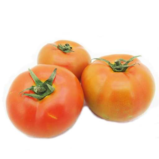 [007539] Tomate Larga Vida (1 Libra - 3 Unidades Aprox)