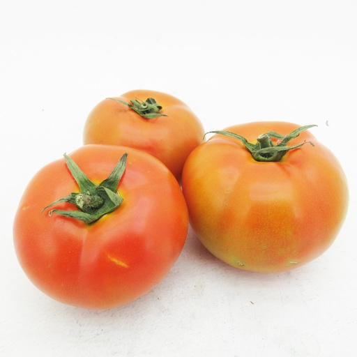 [007539] Tomate Larga Vida (1 Libra - 3 Unidades Aprox)