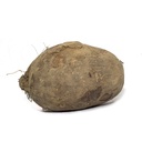 Yacón (1 Unidad - 385 Gr Aprox)