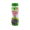 Yogurt Vida Colanta Mora 100Ml