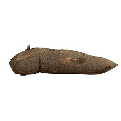 [007543] Yuca (1 Unidad - 733 Gr Aprox)