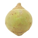 Zapote (1 Unidad - 368 Gr Aprox)
