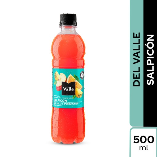 [054010] Del Valle Refresco Salpicón Botella 500ML