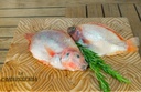 Tilapia (1 Libra - 500Gr)