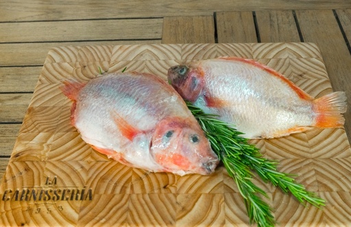 [800262] Tilapia (1 Unidad - 600Gr) Se vende solo por Unidad de medida