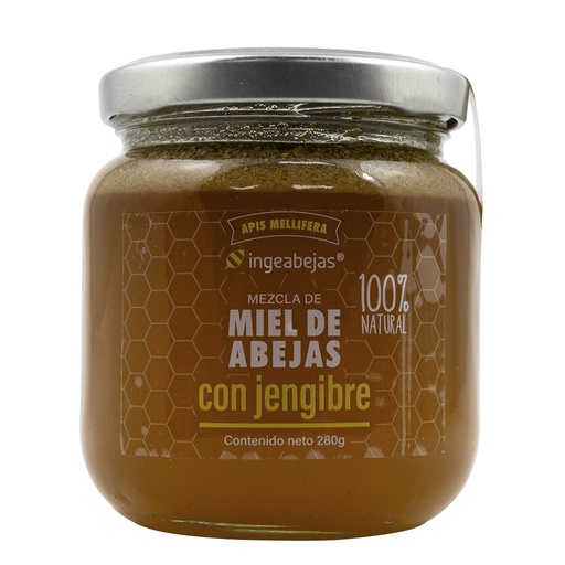 [055849] Miel de Abejas Ingeabejas Con Jengibre  280Gr