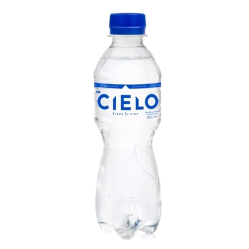 [039417] Agua Cielo Pet 300Ml