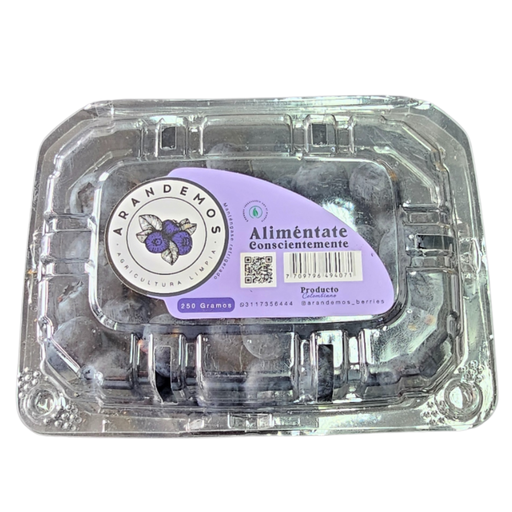 [007571] Arándanos Natural 250Gr
