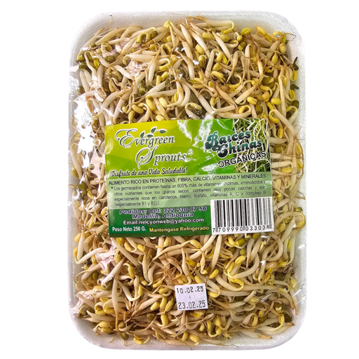 [043071] Raíz China Evergreen Sprouts Bandeja 250Gr