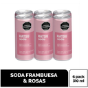 Soda Hatsu Frambuesa Y Rosas 6 Unidades 310Ml