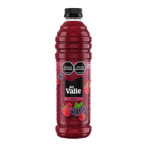 [058965] Del Valle Frutal Mora Pet 1.2L