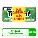 Trident Yerbabuena 36 Chicles 61.2Gr